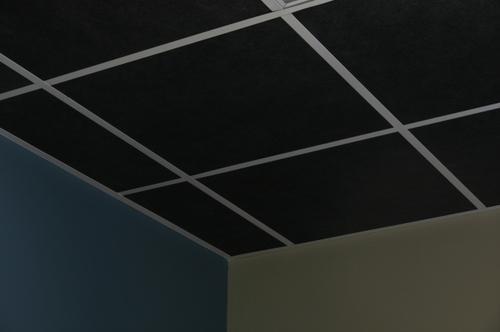 Acoustic Ceiling